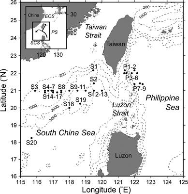 Trichome Lengths of the Heterocystous N2-Fixing Cyanobacteria in the Tropical Marginal Seas of the Western North Pacific